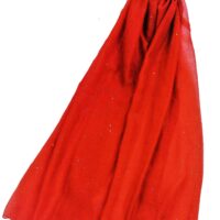 Delicate Glittered Plain Scarf