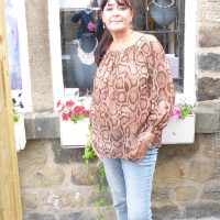Brown Reptile Print Bardot Chiffon Top
