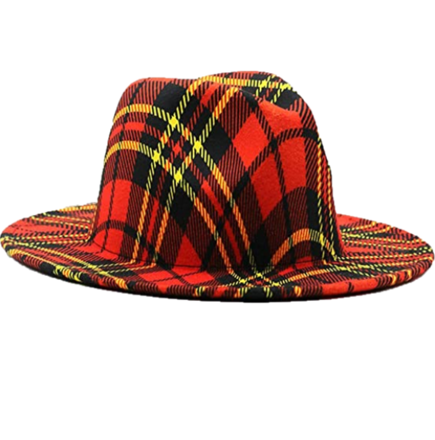 Check Print Fedora Hat - Image 4