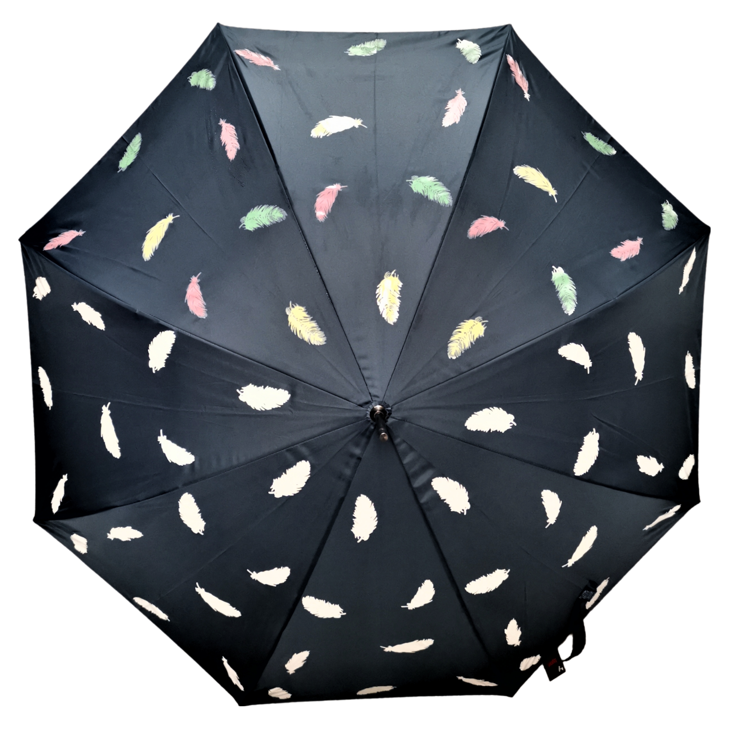 Black Feather Magic Colour Changing Brolly