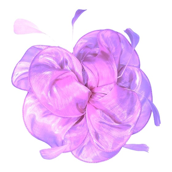 Shiny Organza and Feather Hatinator - Image 3