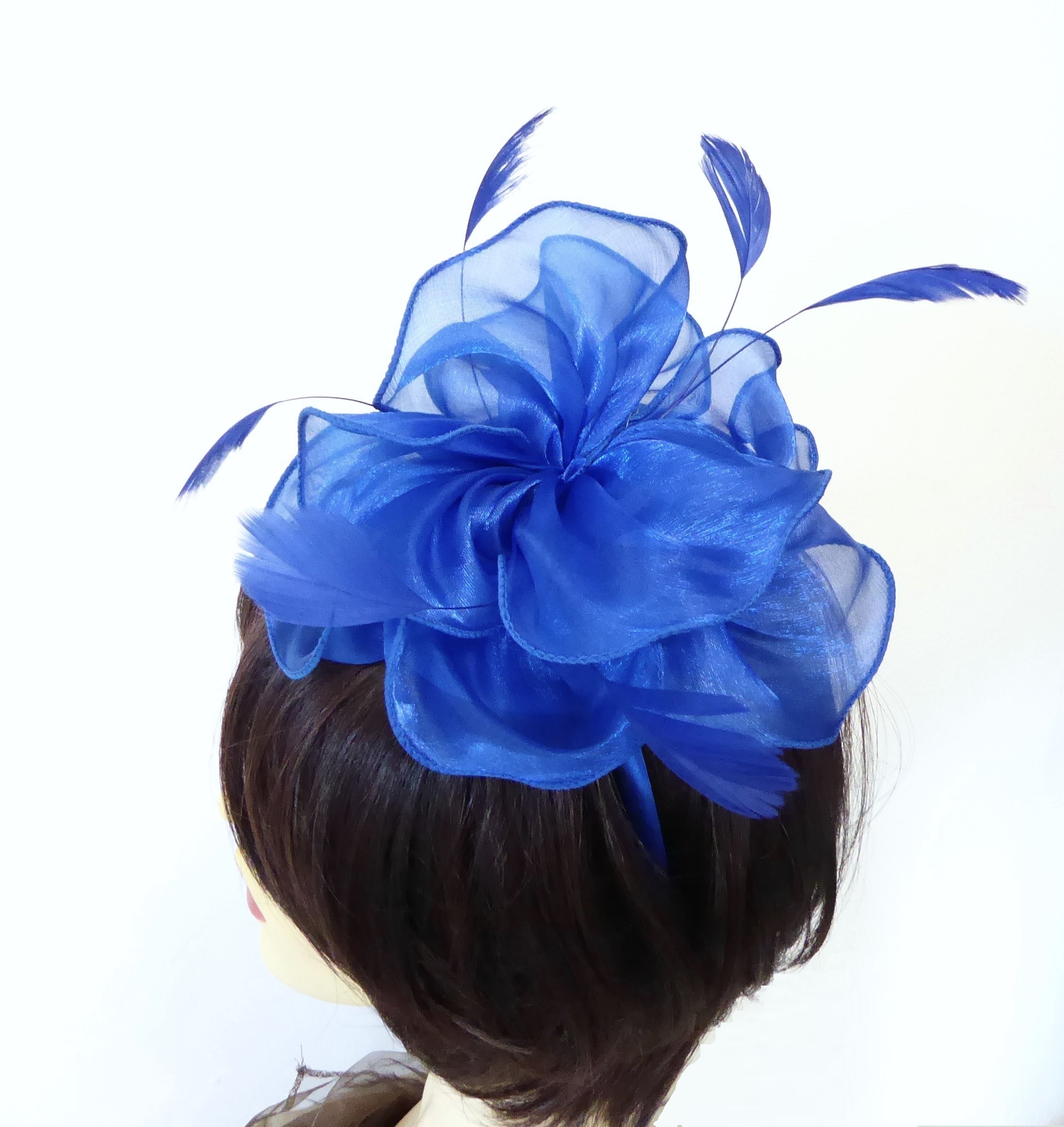 Shiny Organza and Feather Hatinator - Image 5