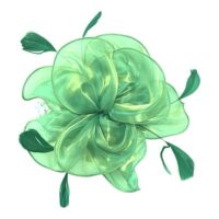 Shiny Organza Net and Feather Hatinator